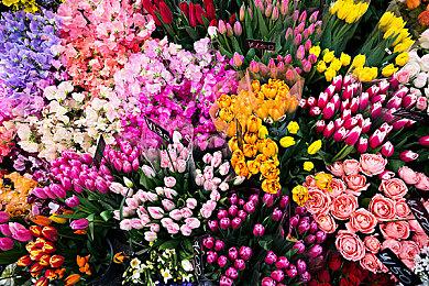 《命运2》开发者承认二象性地牢困难是有意为之