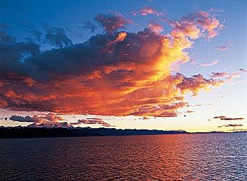 《恶霸鲁尼》开发过程中被迫按总部要求修改艺术风格